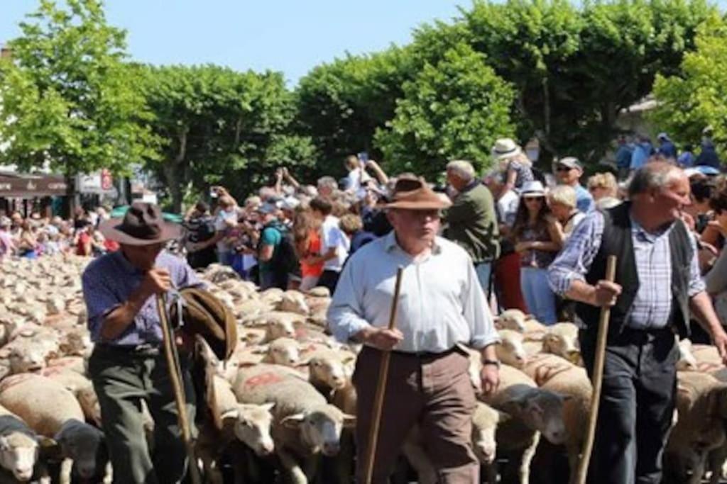 Charmante Maison De Village Au Coeur De Saint-Remy Kültér fotó