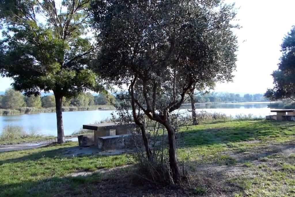 Charmante Maison De Village Au Coeur De Saint-Remy Kültér fotó